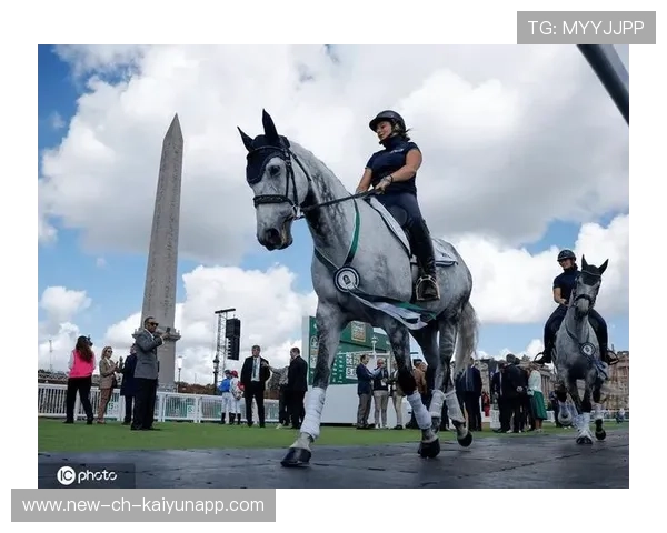 荷兰马术协会与法国马术协会合作，举办国际马术研讨会，促进学术交流。
